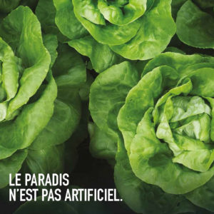 Groupe Cardinal Colombes Le Paradis n'est pas artificiel - Teasing