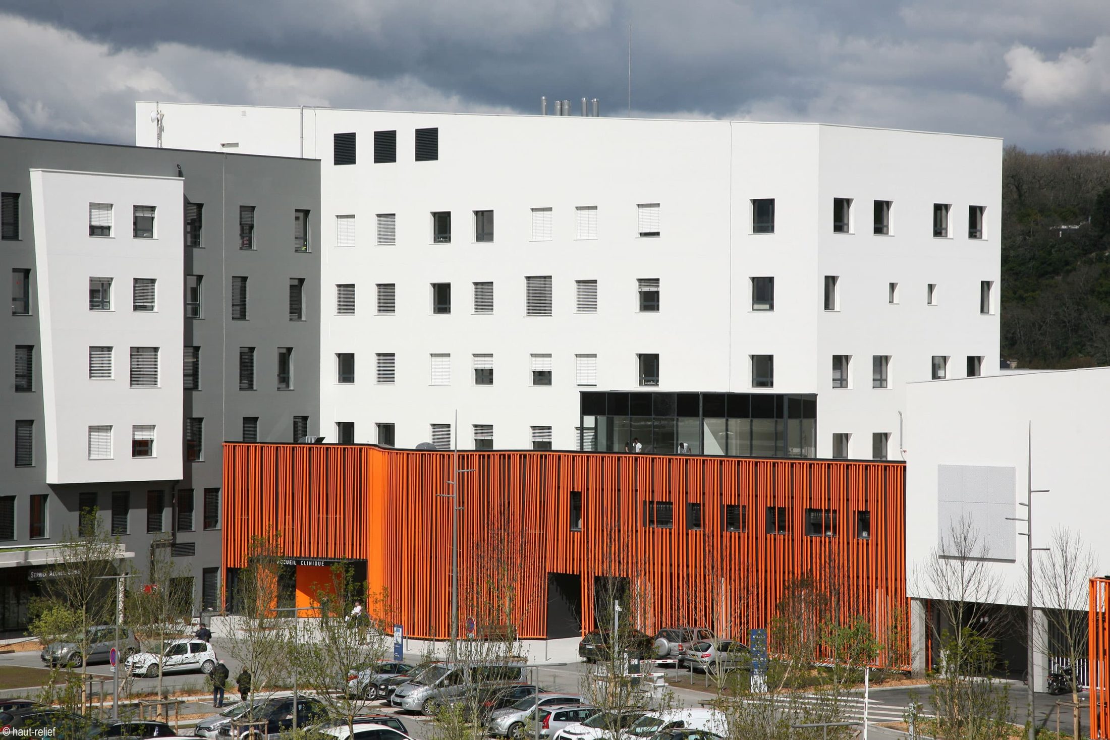 Bordeaux Tondu Irm à Champ Ouvert Bordeaux