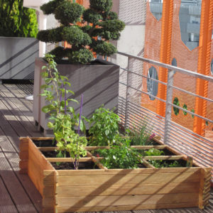 Groupe Cardinal- Potagers sur la terrasse - Photo Cécile Morel Journel Cube Orange Lyon Confluence - Groupe Cardinal