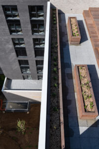 Cergy Etoile - Espaces communs : Rooftop potager - Cardinal Promotion - @Thomas Guyenet
